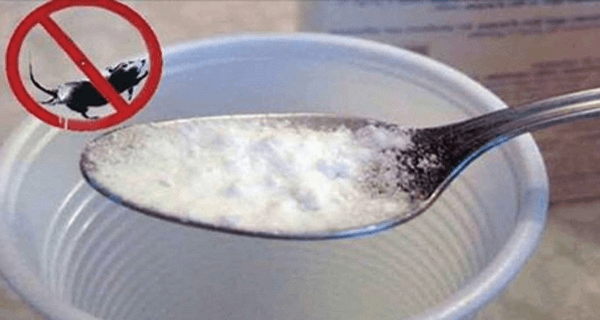 how-to-get-rid-of-mice-permanently-in-all-natural-way